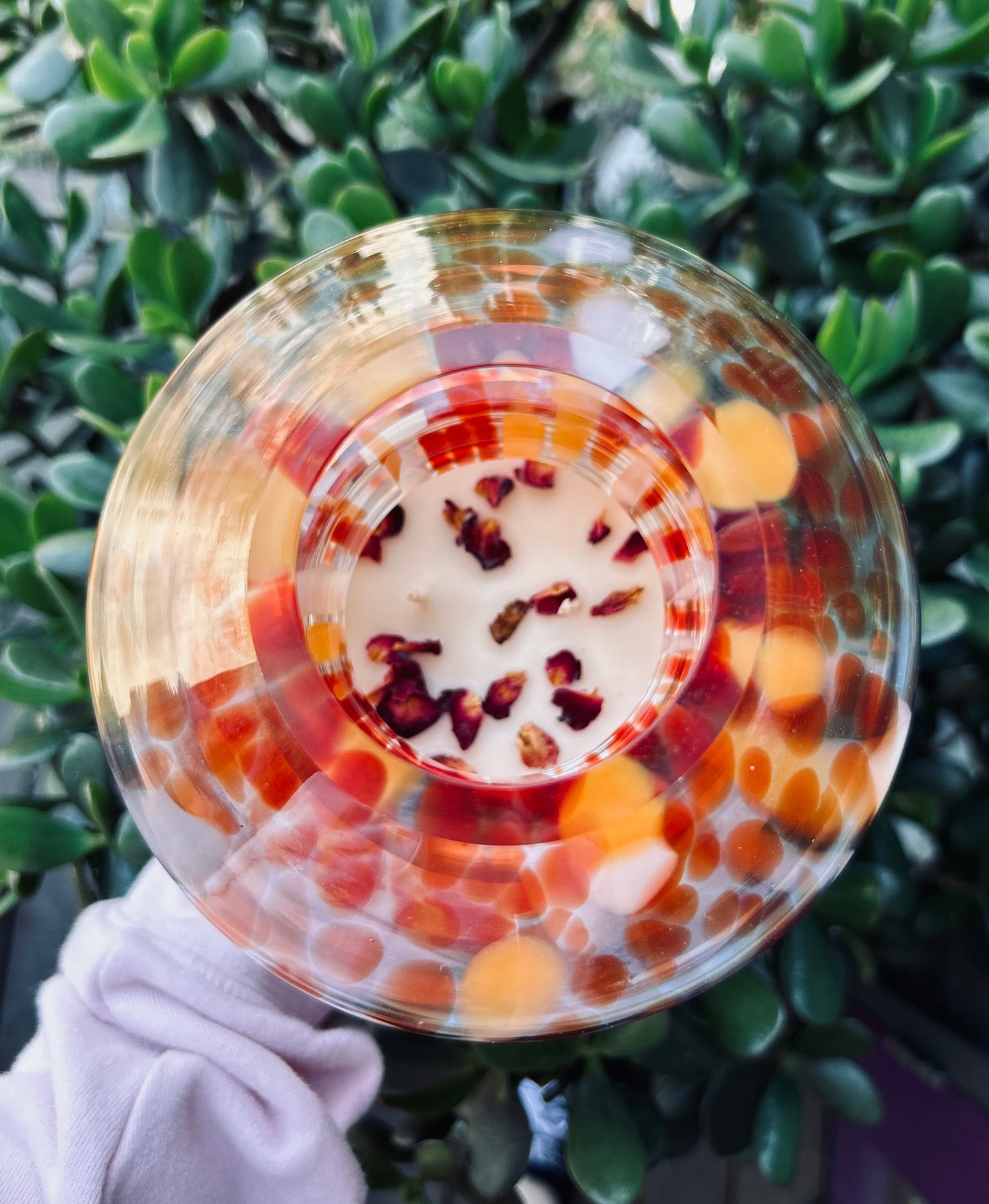 Mushroom Lamp Candle- blood orange- 3 left