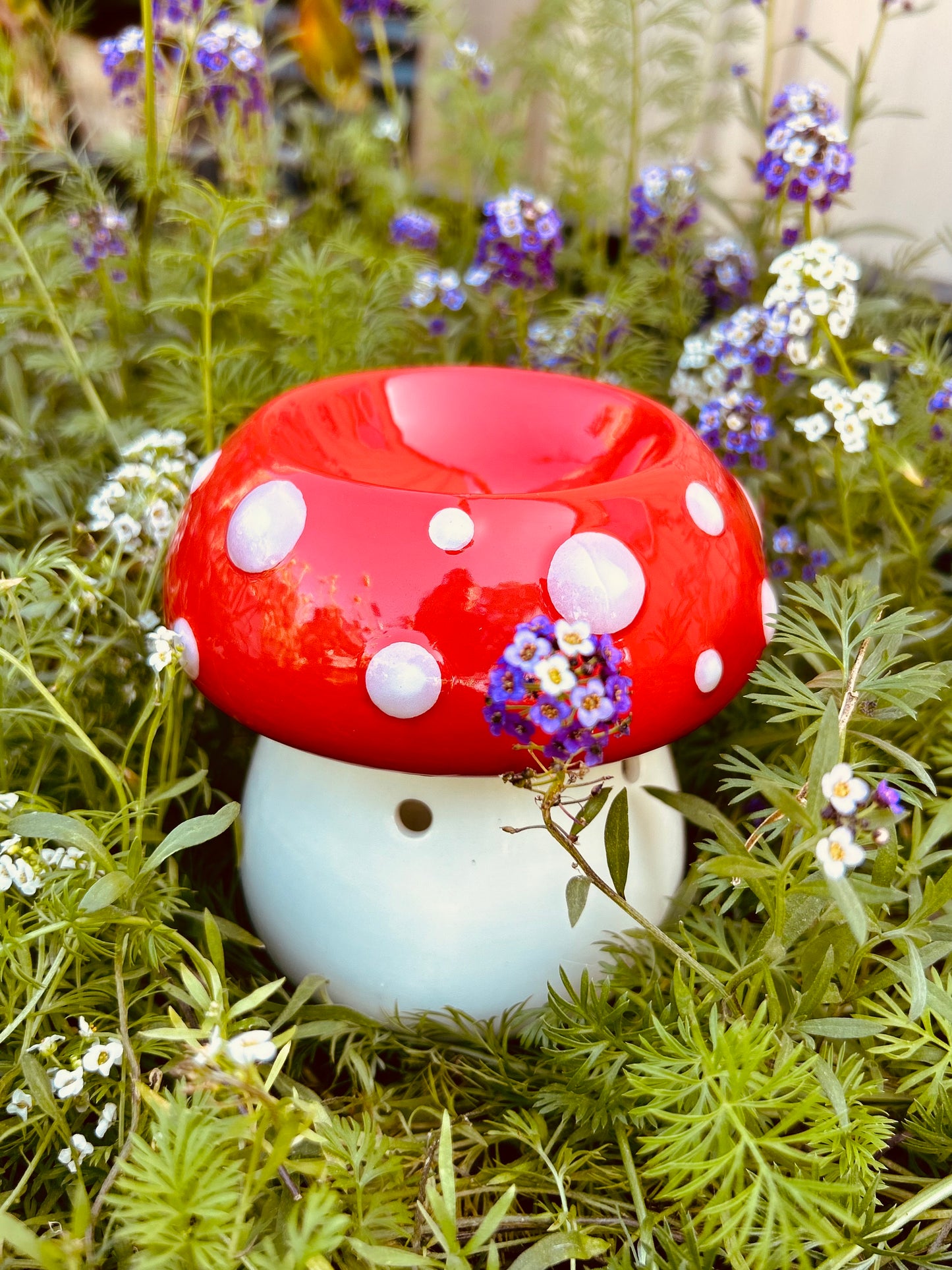 Mushroom Warmer