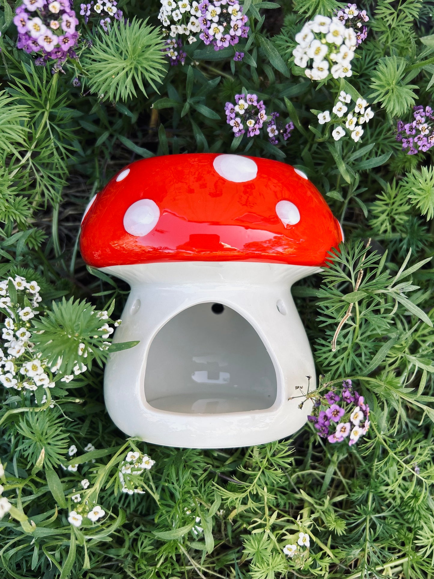 Mushroom Warmer