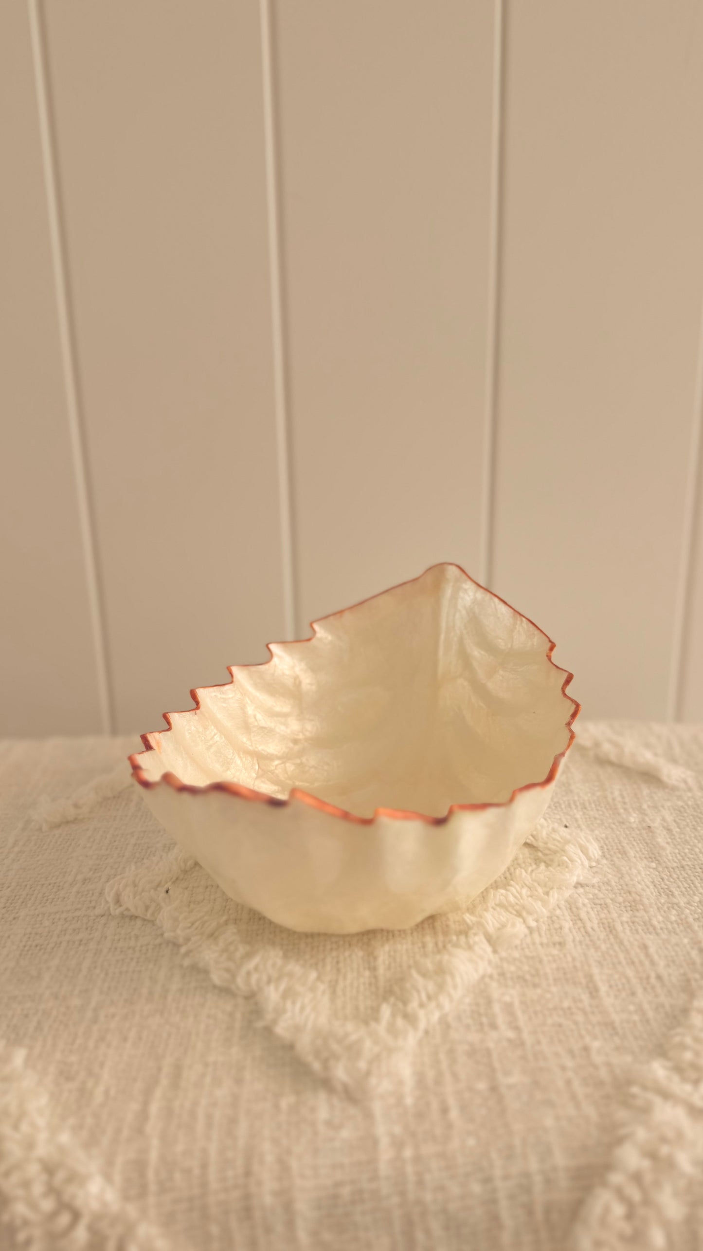 Pearl resin cleanse bowl