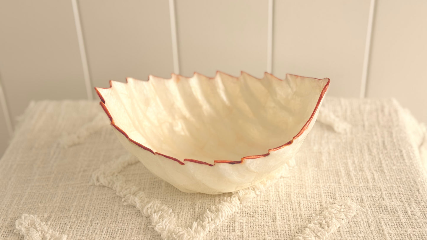 Pearl resin cleanse bowl