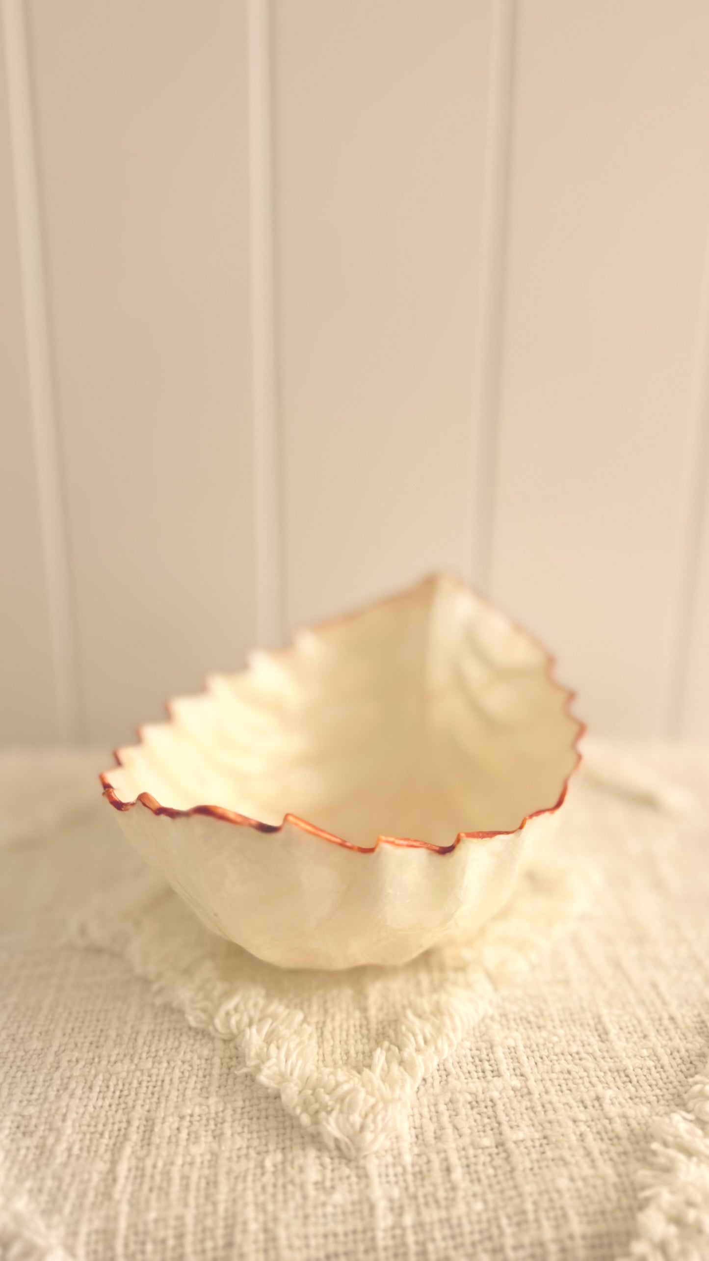 Pearl resin cleanse bowl