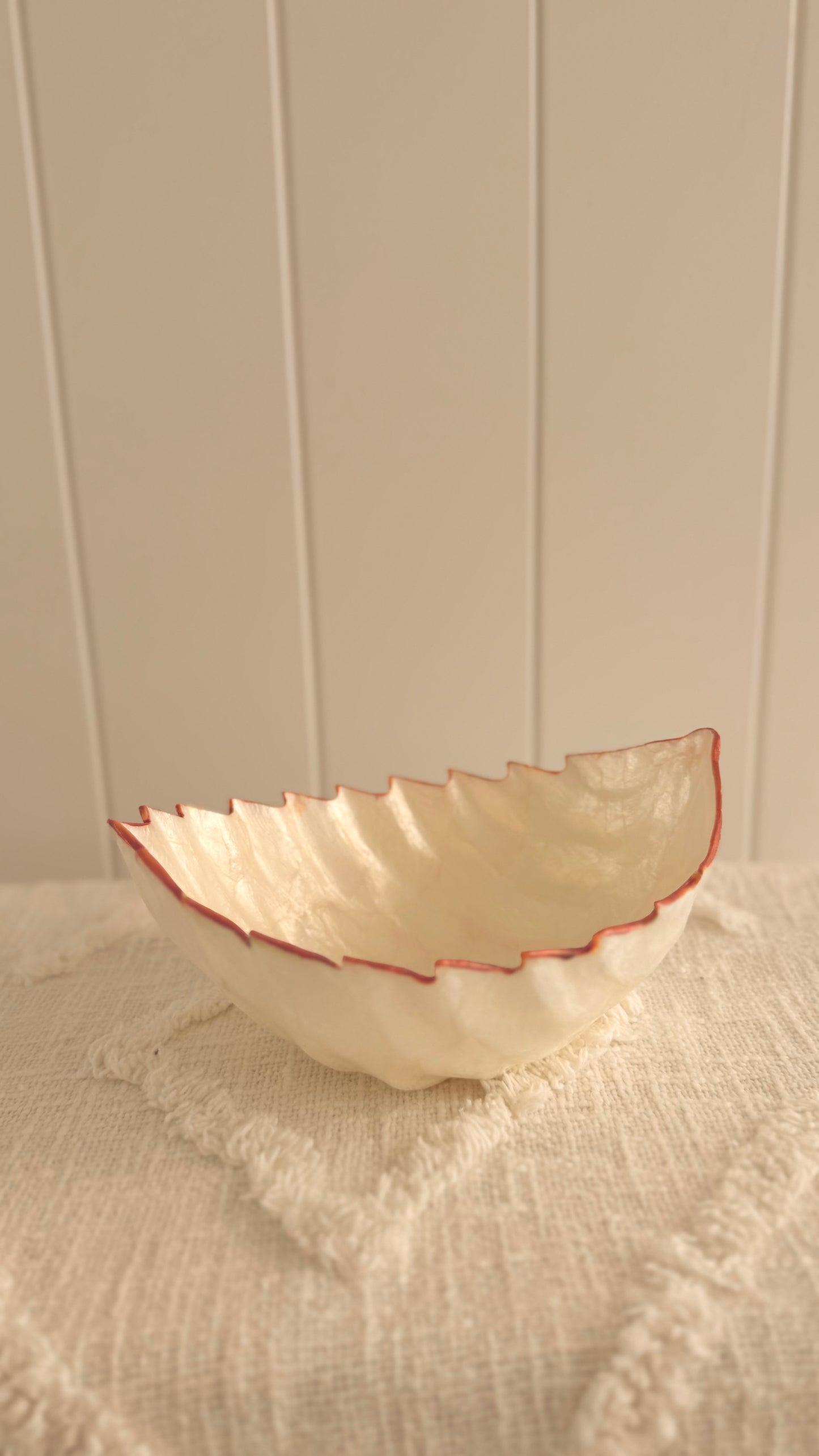 Pearl resin cleanse bowl