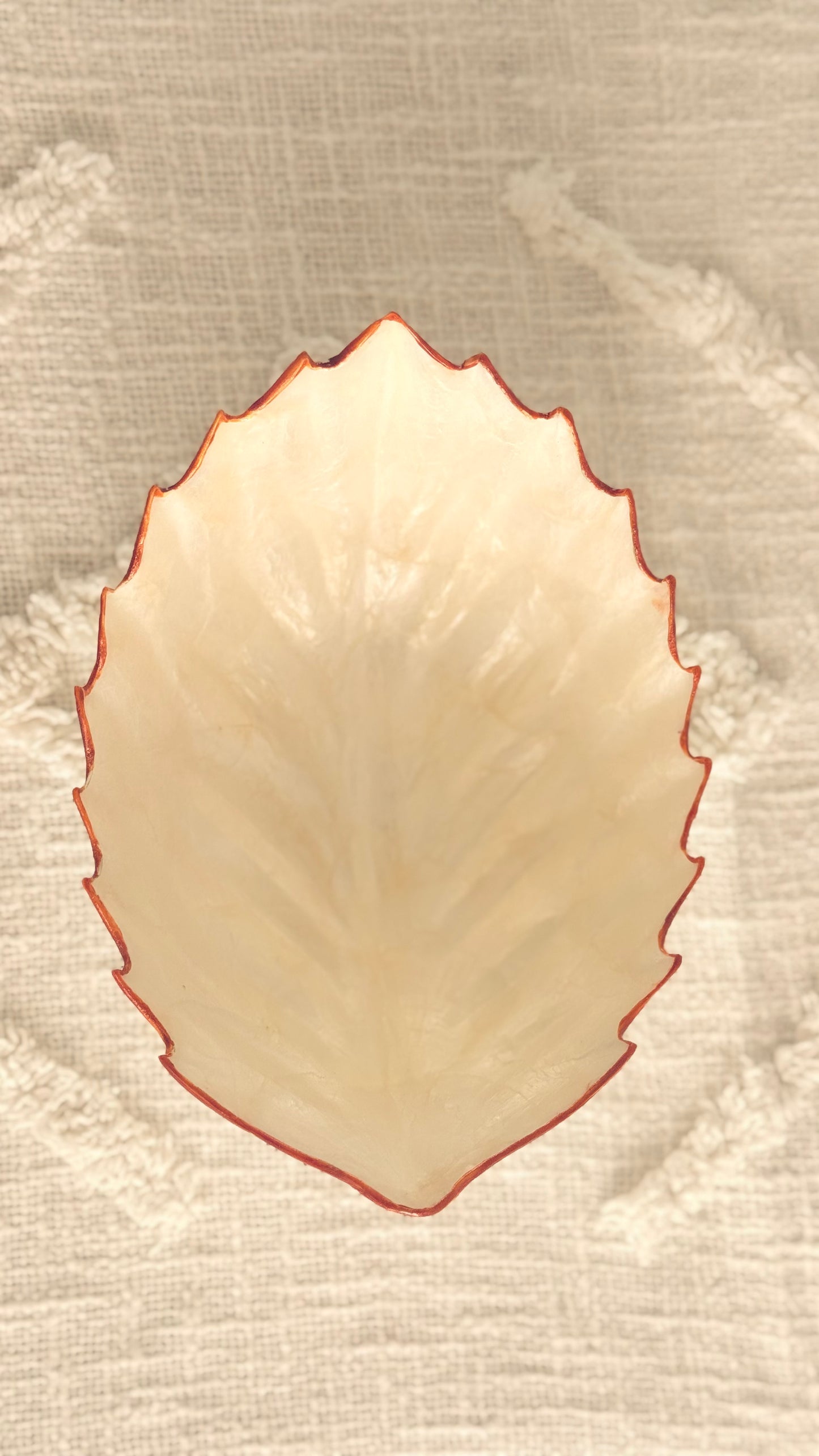 Pearl resin cleanse bowl