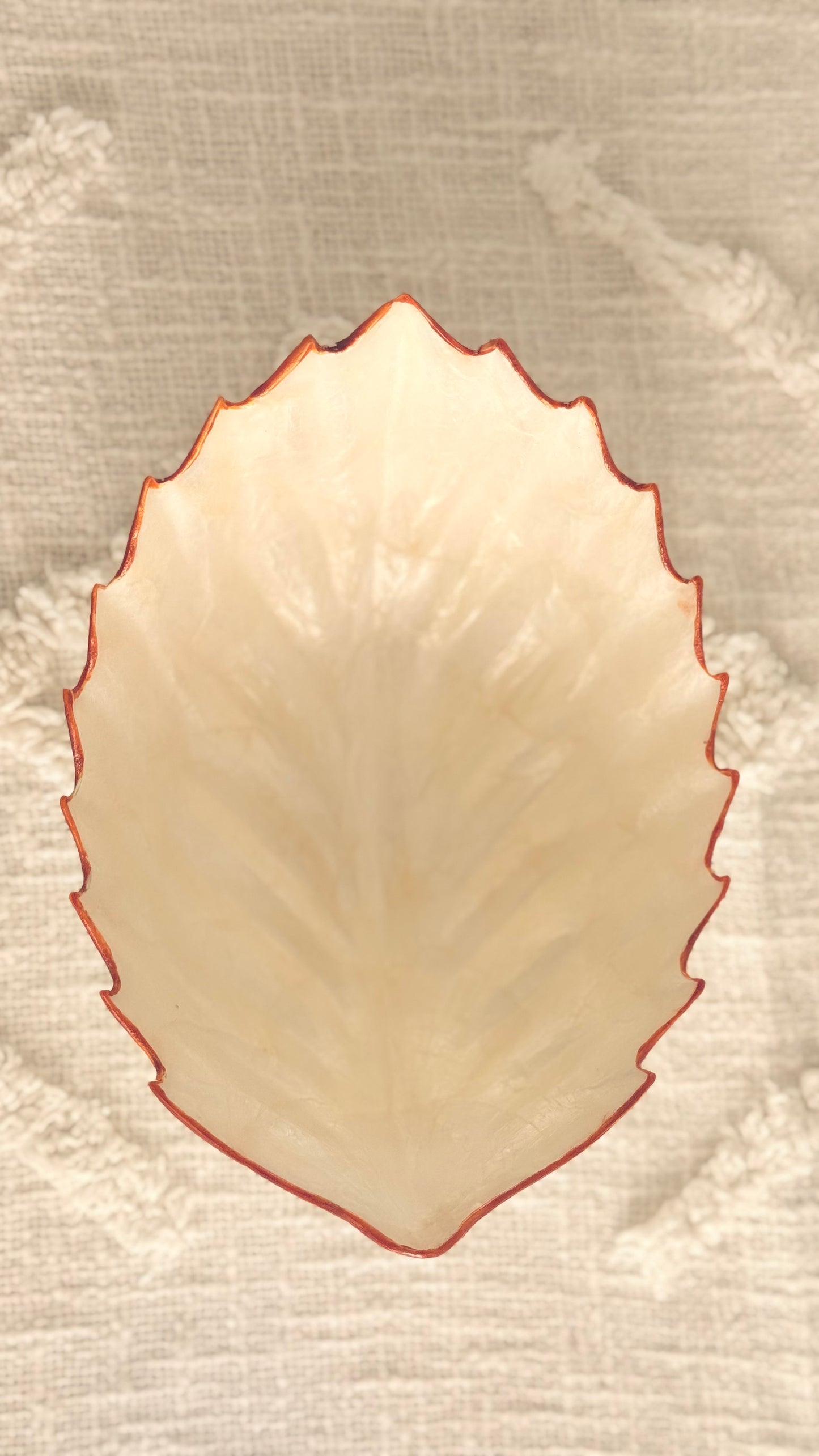 Pearl resin cleanse bowl